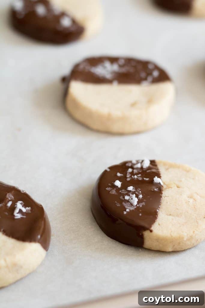 Chocolate walnut cut and bake cookies
