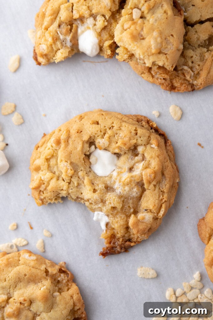 A trio of delicious Costco Marshmallow Crispy Cookies, perfectly baked and ready to be devoured.