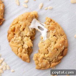 Costco Marshmallow Crispy Cookies