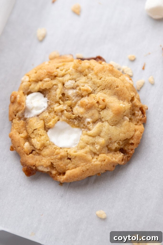 A perfectly baked Costco Marshmallow Crispy Cookie, showcasing its rich texture and melty marshmallow pockets.