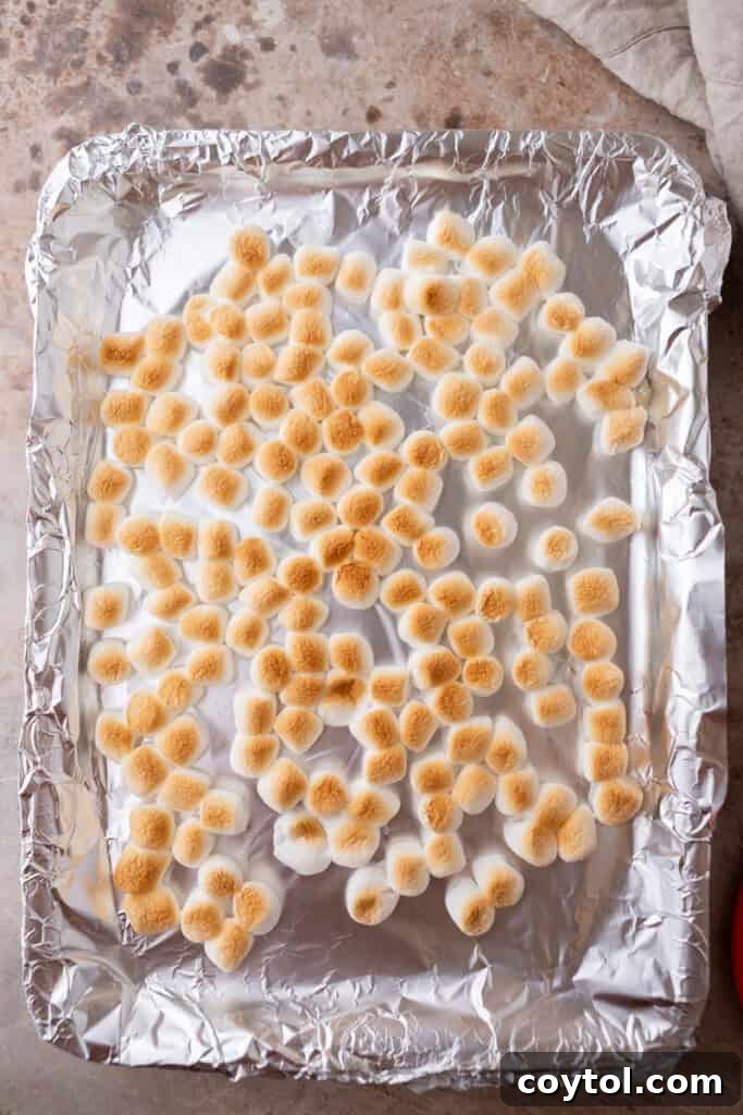ingredients on a baking sheet