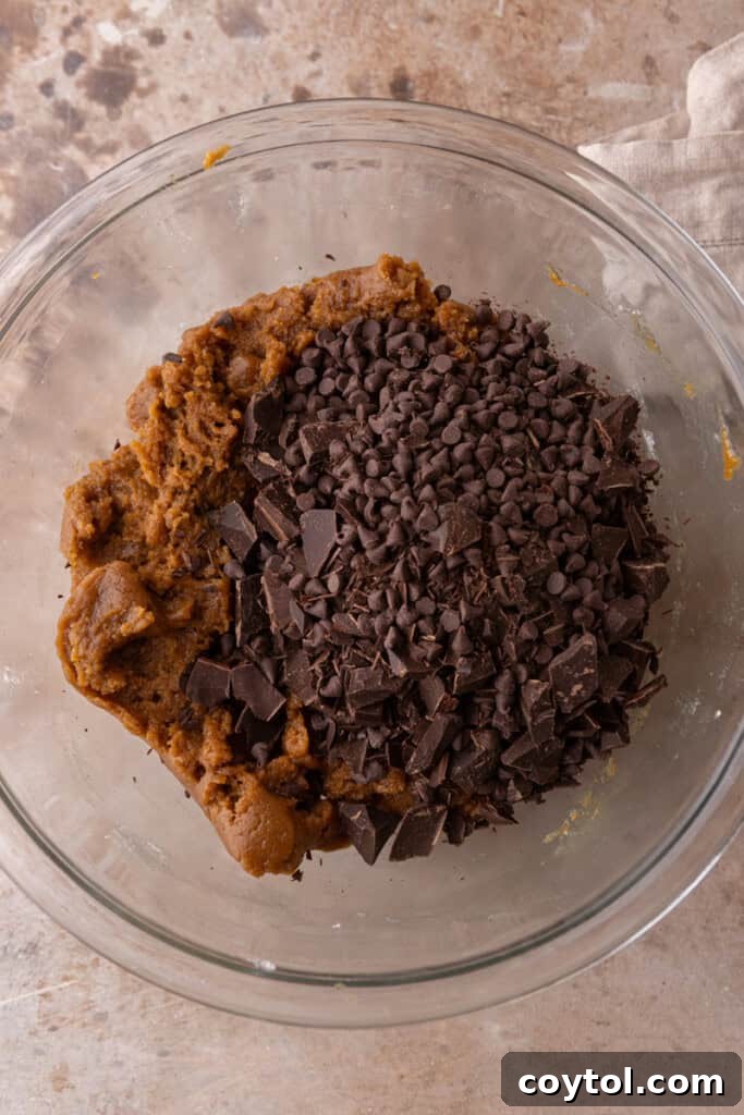 Nutty Brown Butter Pumpkin Chocolate Chip Cookies 11 ingredients in a bowl