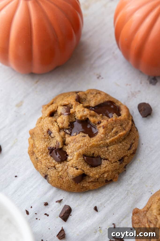 Nutty Brown Butter Pumpkin Chocolate Chip Cookies 14 baked goods on parchment paper