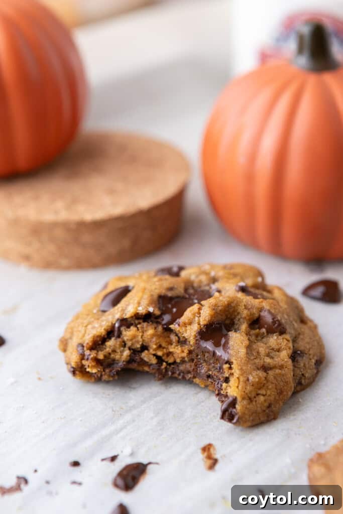 Nutty Brown Butter Pumpkin Chocolate Chip Cookies 15 Brown Butter Pumpkin Chocolate Chip Cookies on parchment paper