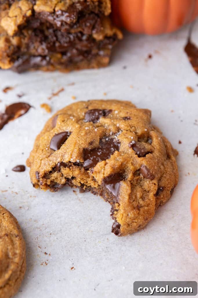 Nutty Brown Butter Pumpkin Chocolate Chip Cookies 17 Brown Butter Pumpkin Chocolate Chip Cookies on parchment paper