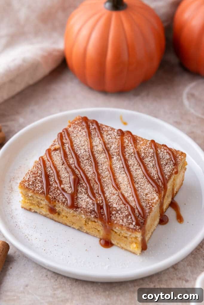 Golden brown churro pumpkin cheesecake bars arranged beautifully on a white plate, ready to be served.