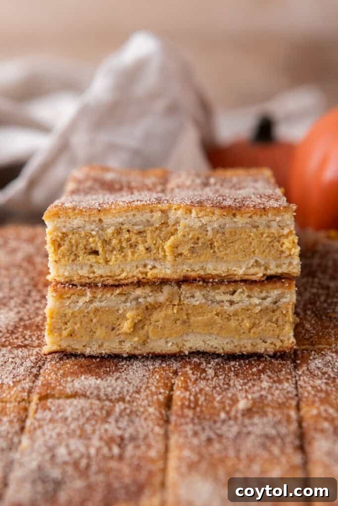 A selection of churro pumpkin cheesecake bars, showcasing their golden-brown tops and rich filling.