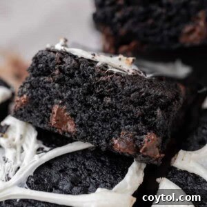 Slice of dark black cocoa powder brownie recipe