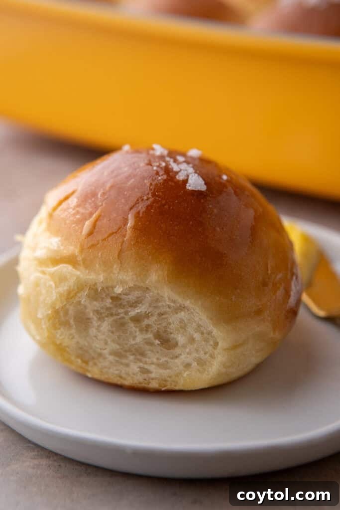 Pillowy Soft Buttery Holiday Rolls 2 Close up of homemade dinner rolls on a plate, golden brown and perfectly soft