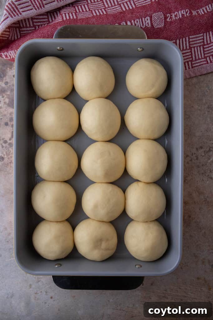 Pillowy Soft Buttery Holiday Rolls 12 Puffy bread buns in a baking dish after their second rise, significantly expanded and ready for baking