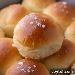 Pillowy Soft Buttery Holiday Rolls 16 Homemade Soft Dinner Rolls, golden and fluffy, presented for serving