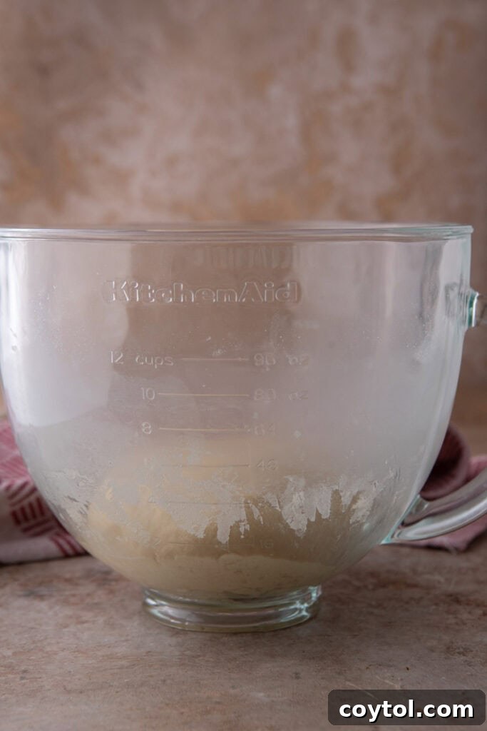 Pillowy Soft Buttery Holiday Rolls 9 Smooth, well-kneaded bread dough in a bowl before its first rise