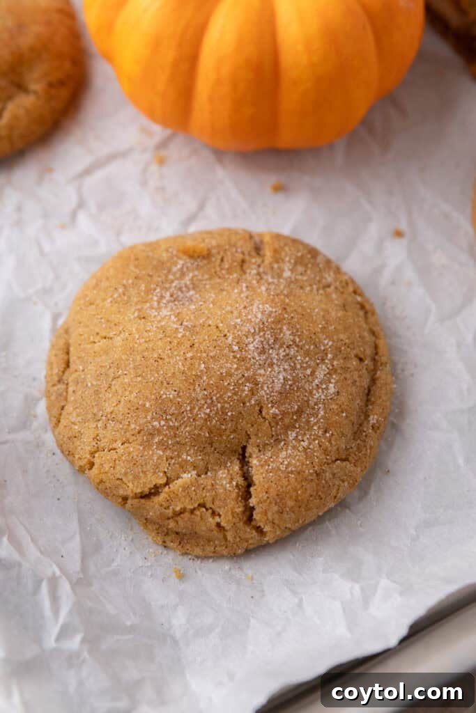 baked dough on a baking sheet