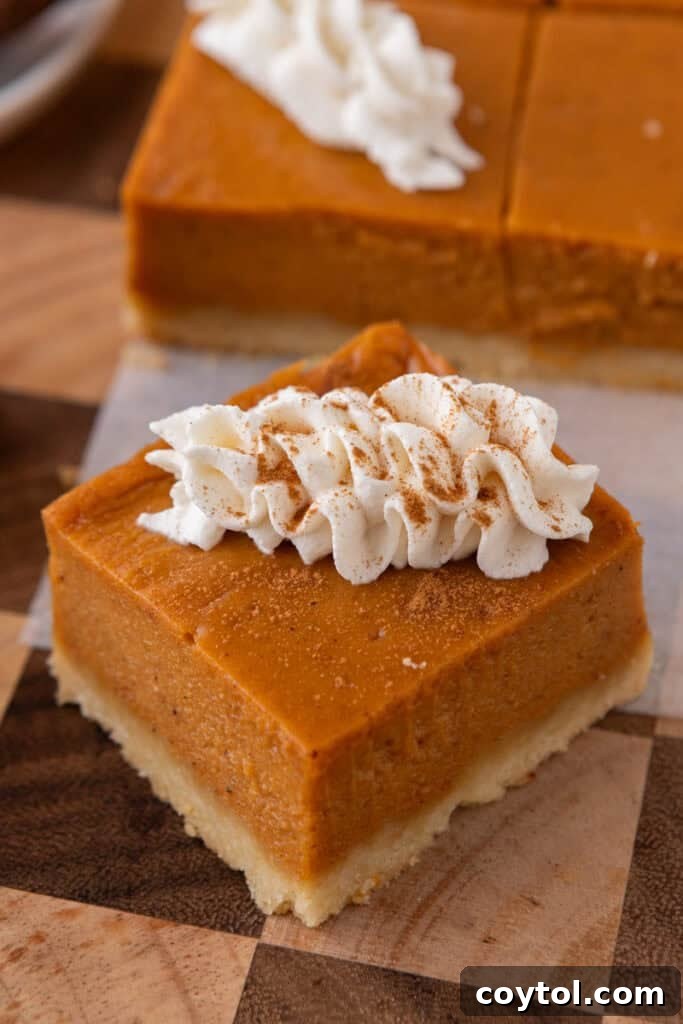 Irresistible Sweet Potato Pie Bars 2 sweet potato pie bars recipe square close up