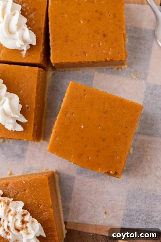 Irresistible Sweet Potato Pie Bars 17 sweet potato pie bars recipe cut into squares