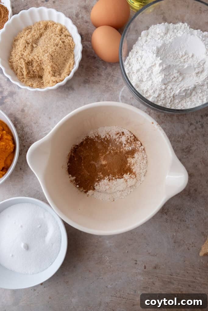 dry ingredients in a bowl