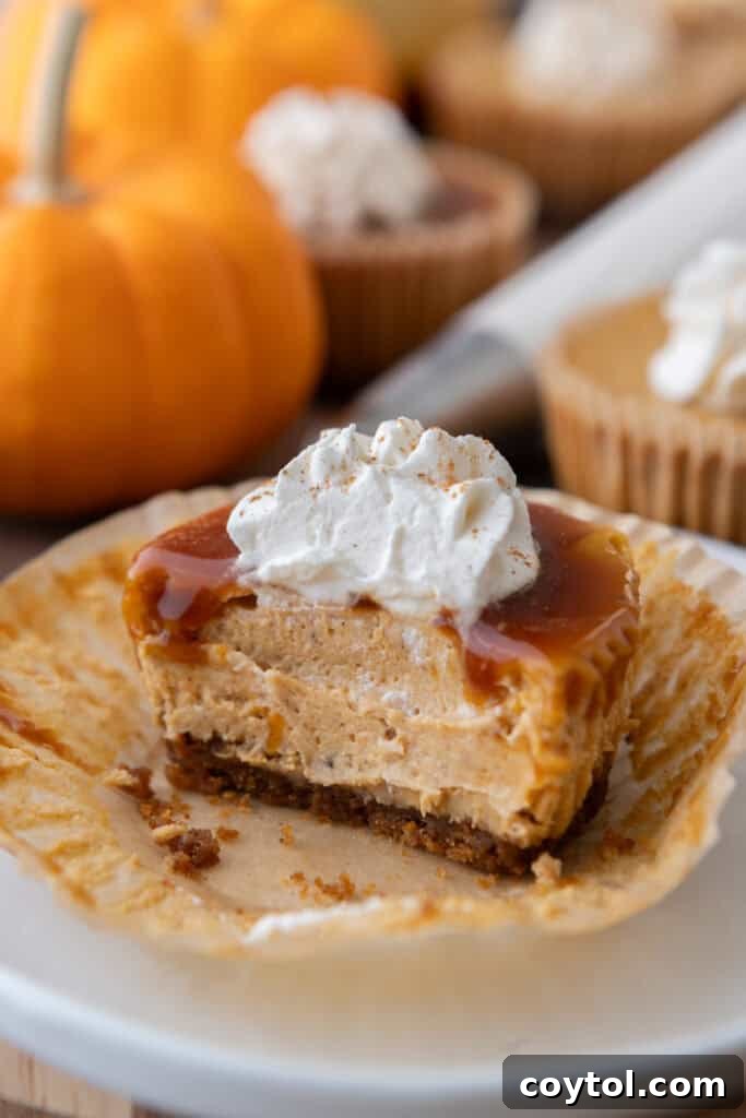 Mini Pumpkin Cheesecakes recipe with a bite taken out