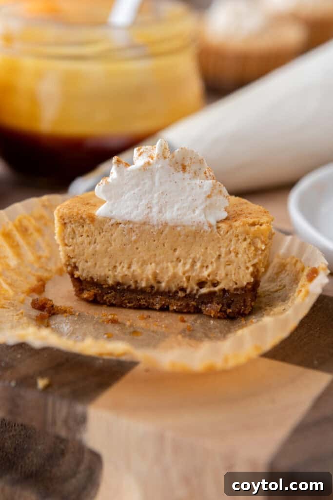 Mini Pumpkin Cheesecakes split in half