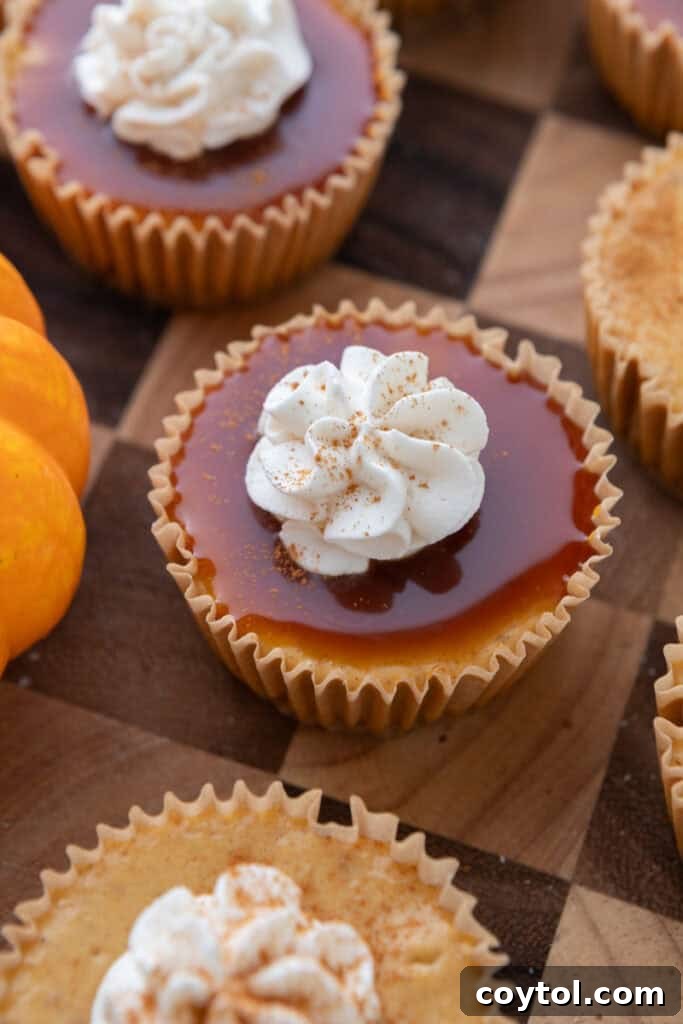 Mini Pumpkin Cheesecakes with butterscotch on top