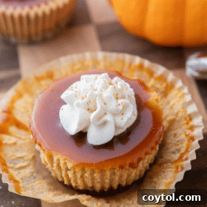 Mini pumpkin cheesecake topped with caramel drizzle and a dollop of whipped cream