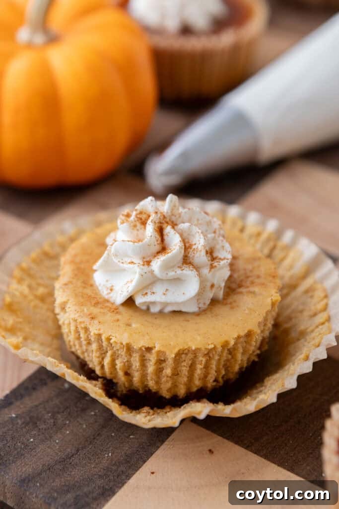 Mini Pumpkin Cheesecakes with whipped cream