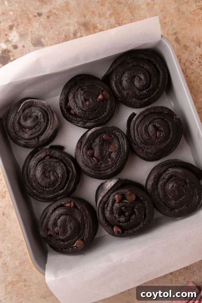 Rolls in the pan before rising
