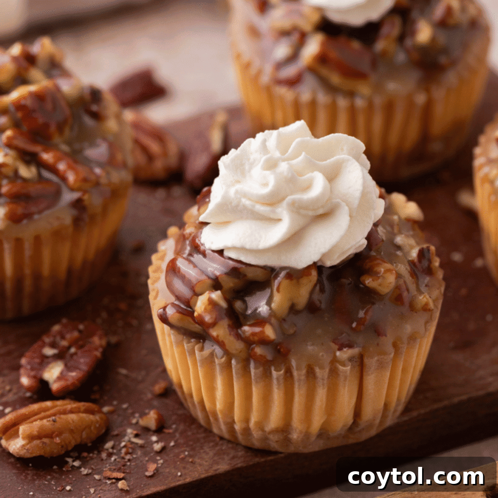 Irresistible Pecan Pie Cheesecake Bites 2 Mini Pecan Pie Cheesecakes with whipped cream, ready to be served on a pristine white plate.