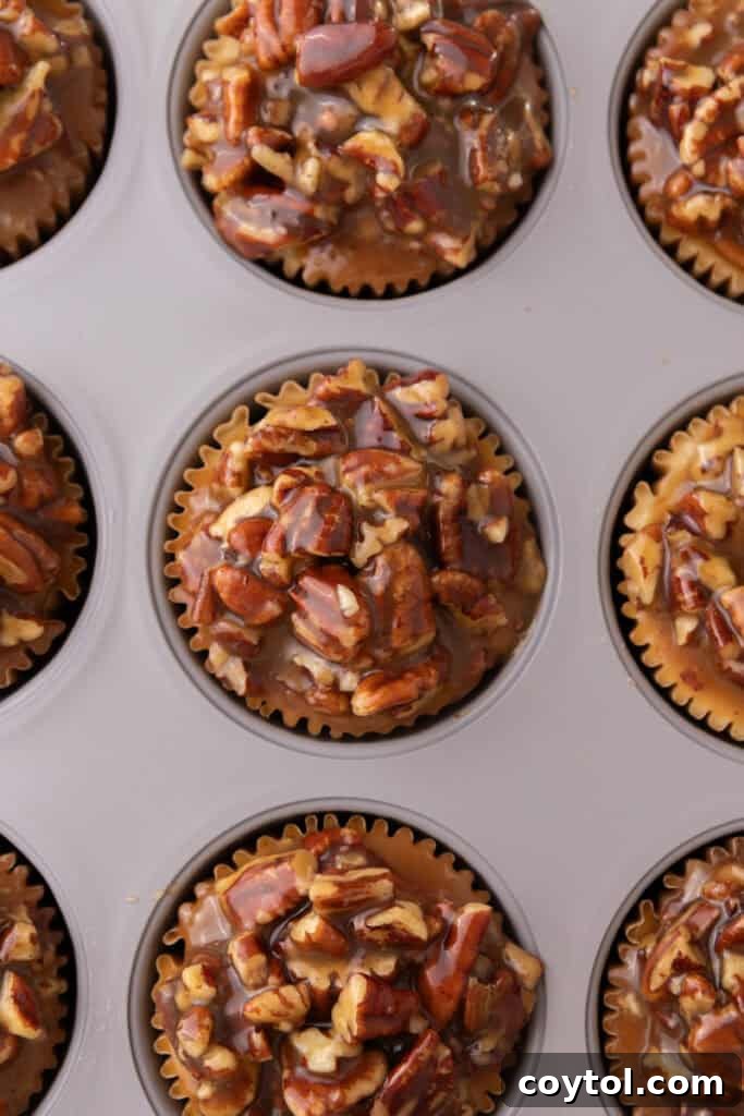 Irresistible Pecan Pie Cheesecake Bites 26 Close-up of Mini Pecan Pie Cheesecakes, beautifully topped with pecans and ready for garnish.