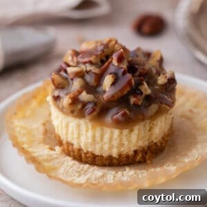 A mini pecan pie cheesecake on an opened muffin liner, showcasing its layered texture.