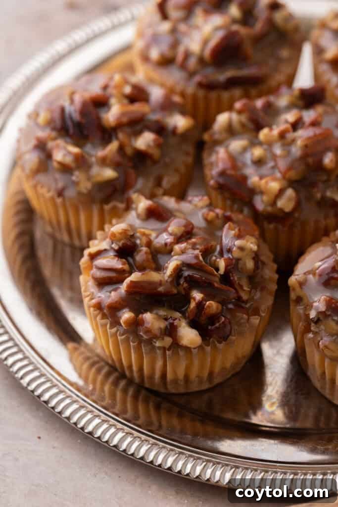 Irresistible Pecan Pie Cheesecake Bites 6 Three beautifully plated Mini Pecan Pie Cheesecakes, topped with whipped cream, on a elegant serving dish.