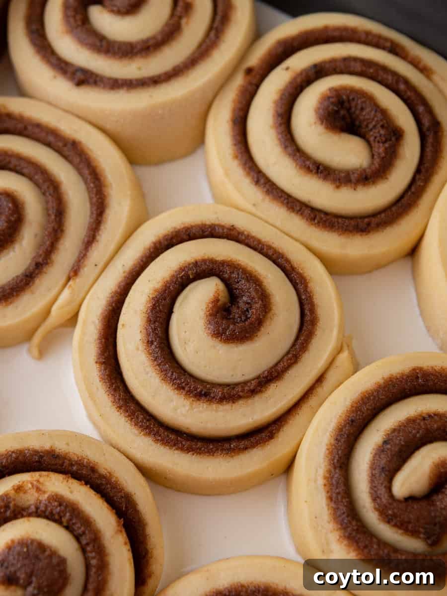 Unbaked brioche cinnamon rolls arranged in a baking pan