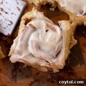 Brioche Cinnamon Rolls