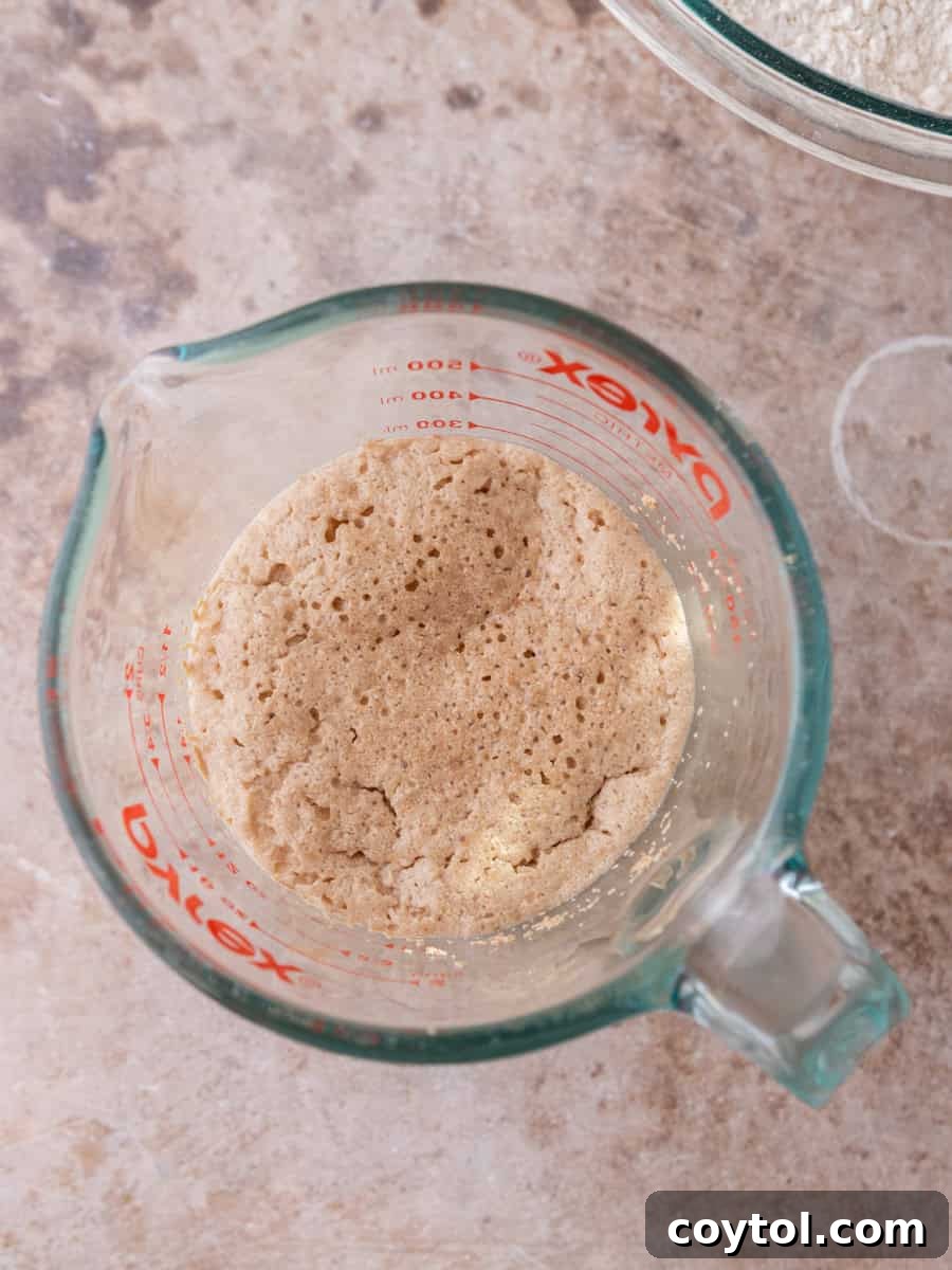 Activated yeast mixture bubbling in glass measuring cup