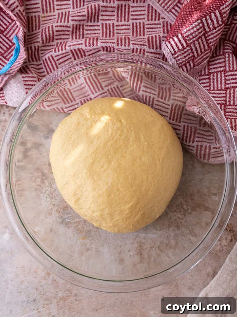 Smooth brioche cinnamon roll dough after kneading