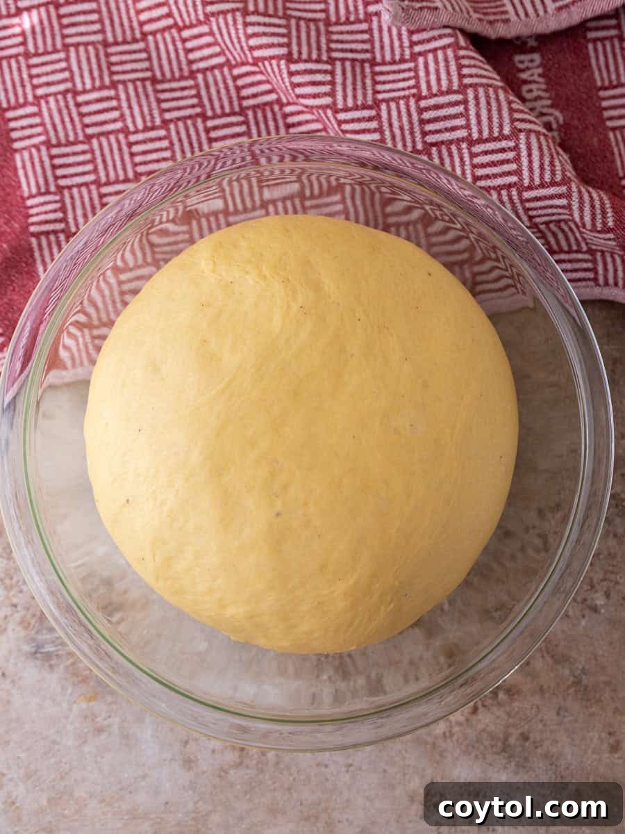  Brioche dough doubled in size after rising