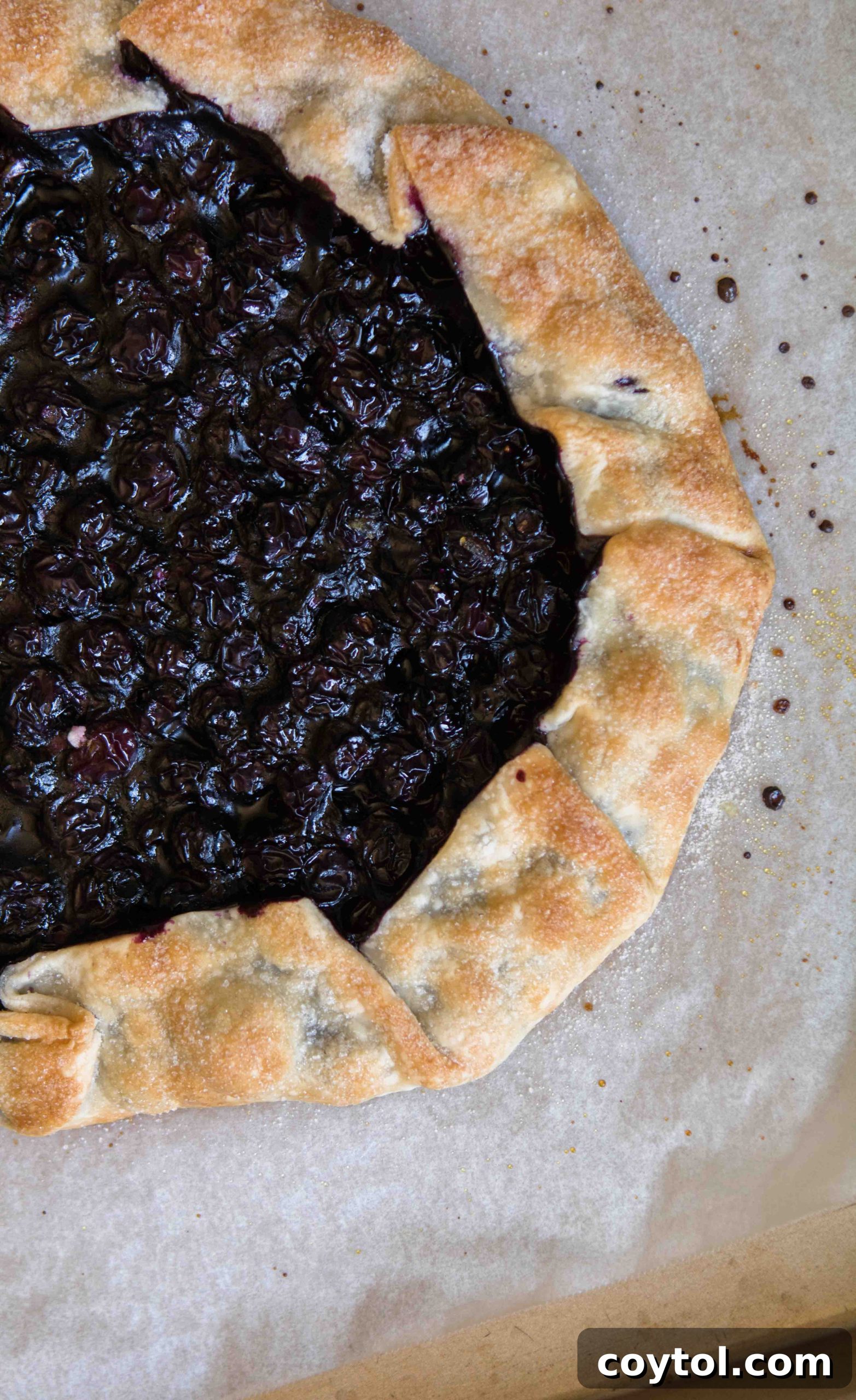 Baked blueberry galette fresh out of the oven