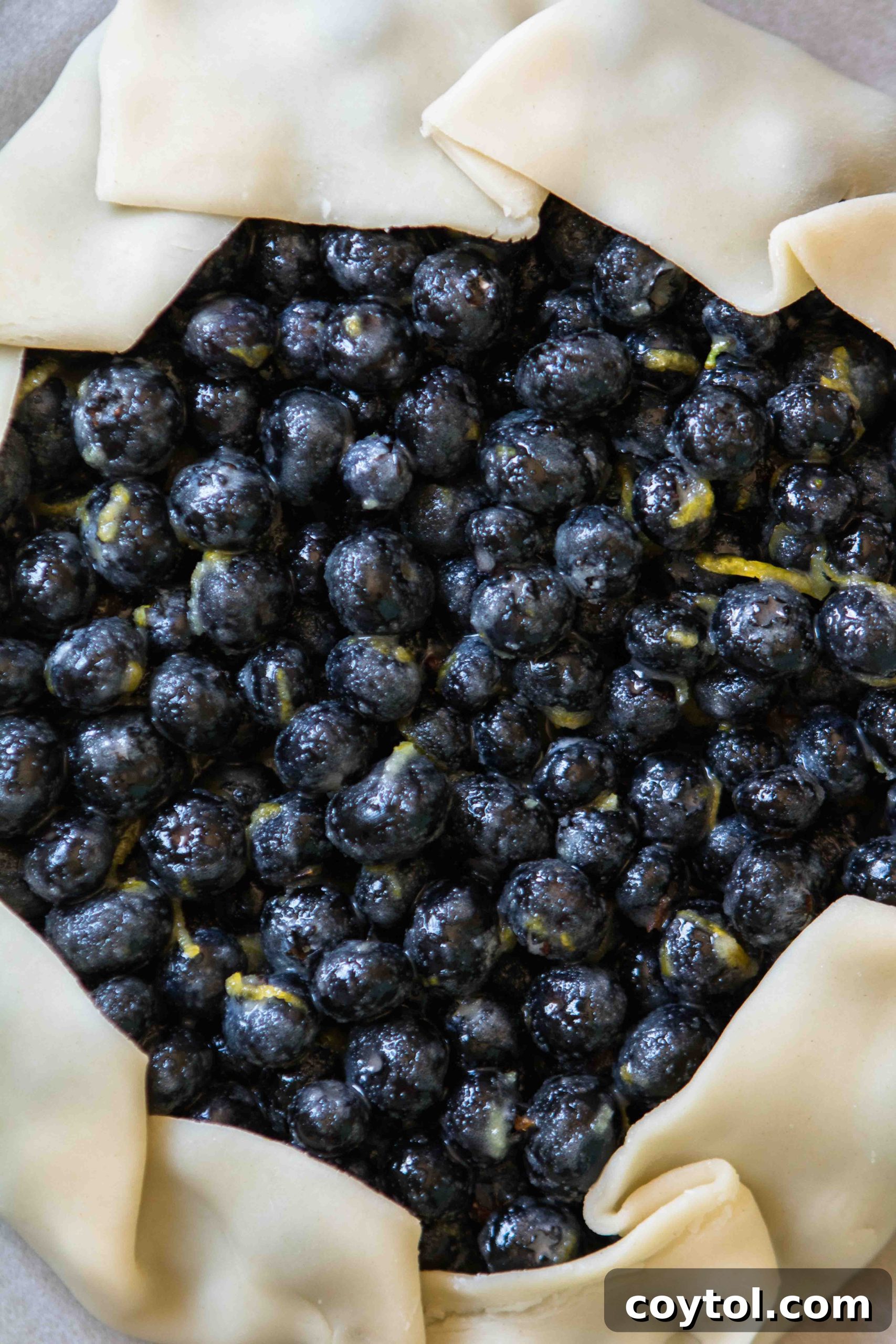 Blueberry galette with various toppings