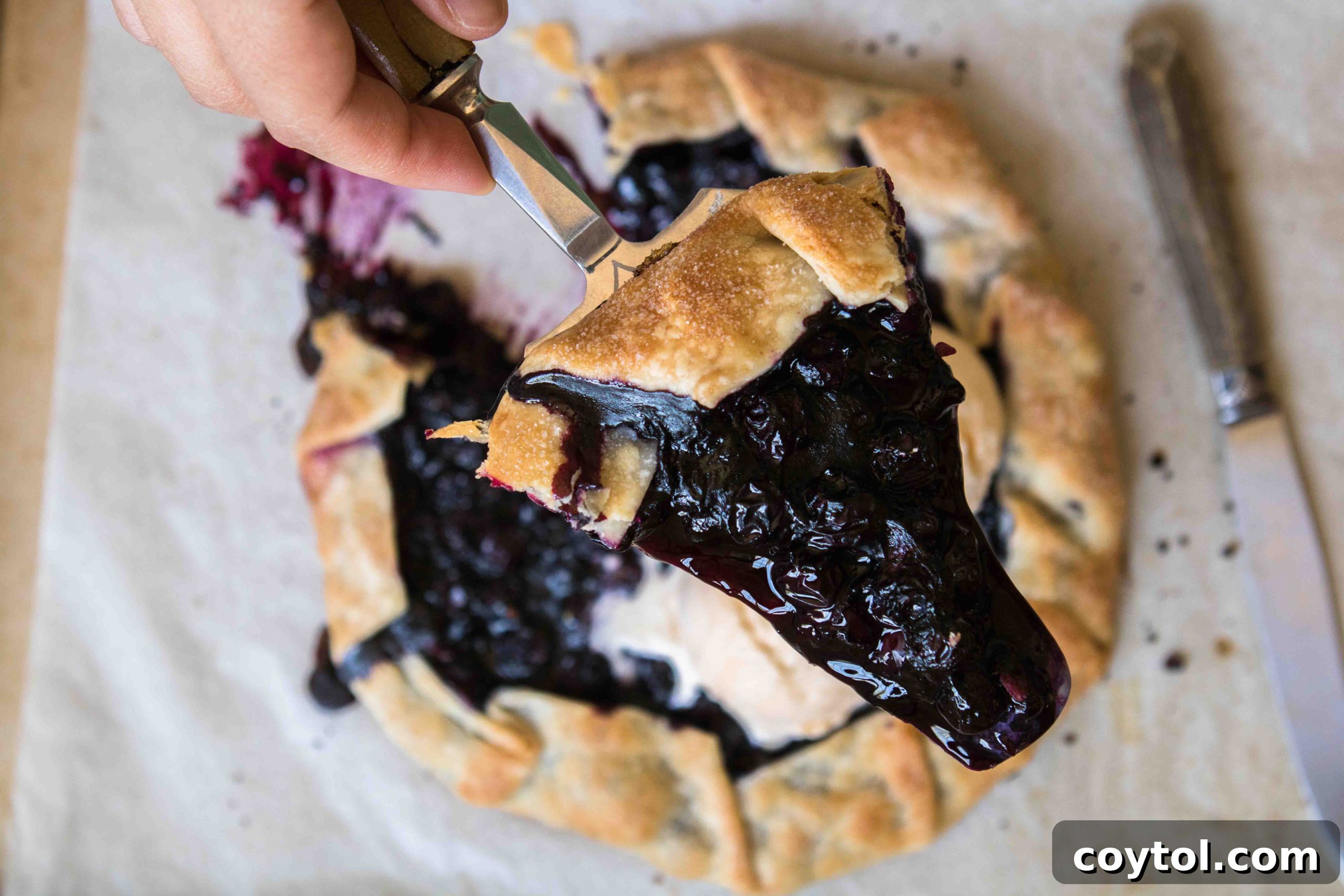 Close-up of baked blueberry galette showing the rustic crust