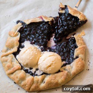 A perfectly baked, rustic blueberry galette