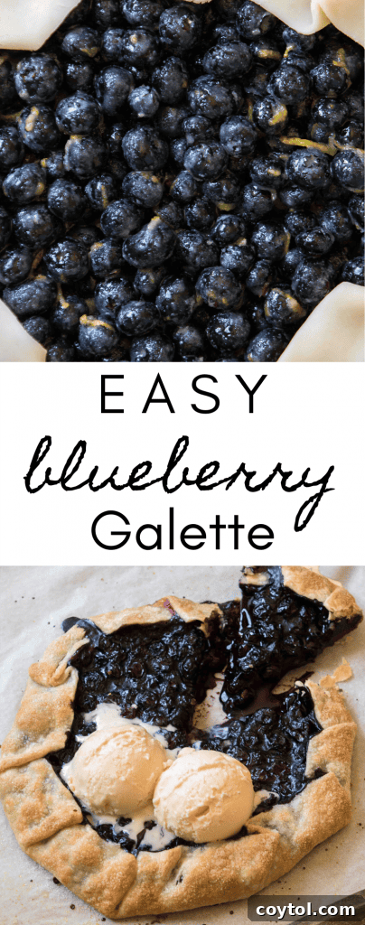 Pin this easy blueberry galette recipe for later