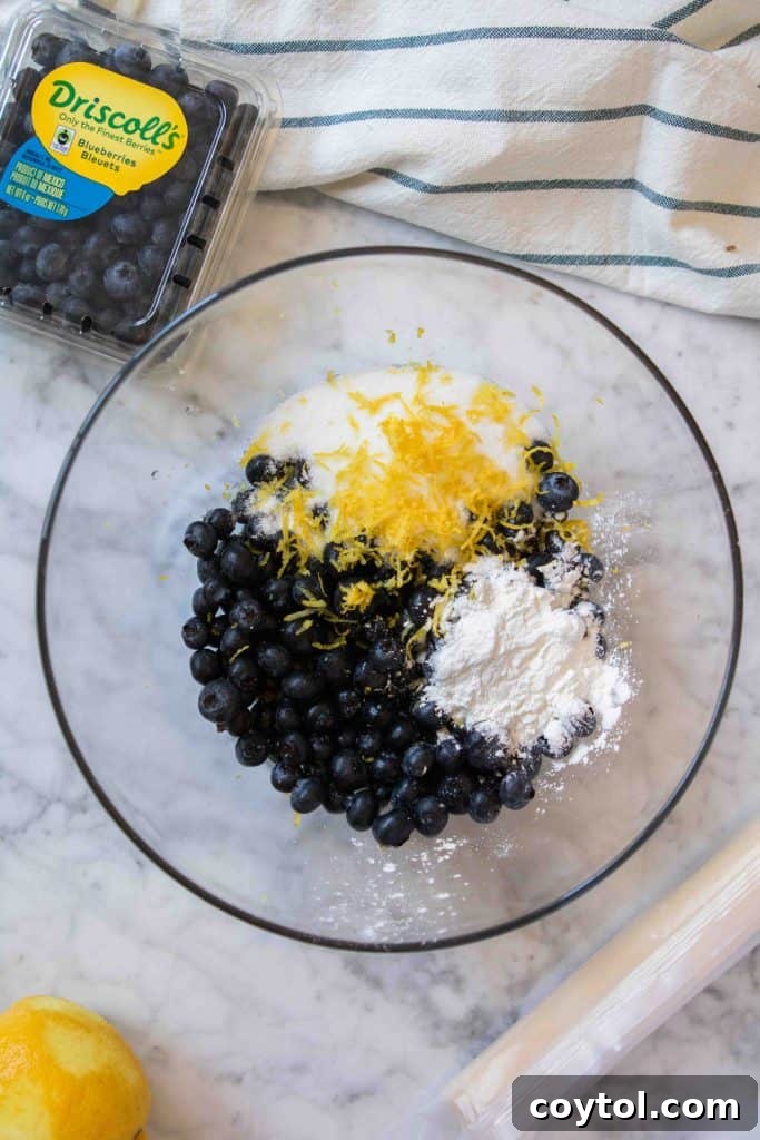 Ingredients for blueberry galette, including fresh blueberries and lemon