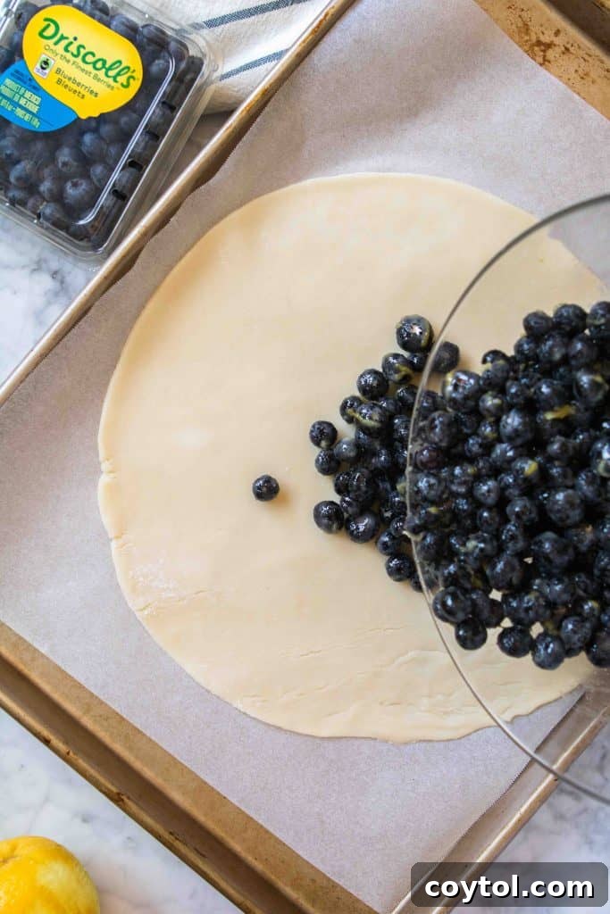 Pie crust rolled out on parchment paper
