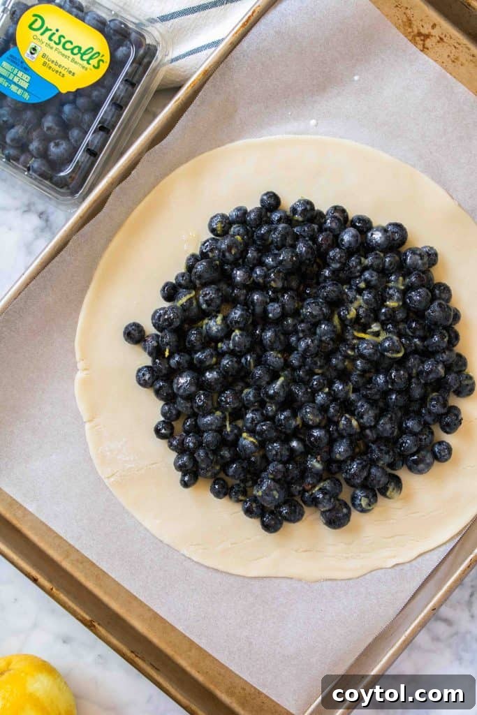 Blueberry filling mounded in the center of the pie crust