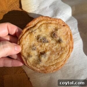 Martha Stewart's Chocolate Chip Cookies Crumbl-Style 8 Thin Chocolate Chip Cookie