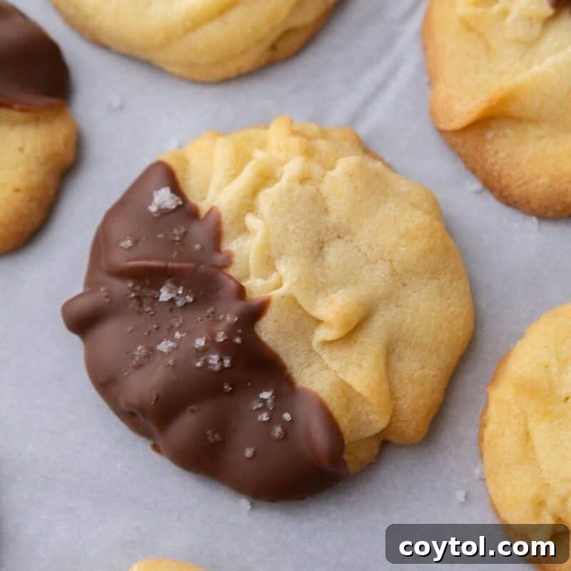 Close-up of a Danish butter cookie partially dipped in rich dark chocolate and sprinkled with delicate flaky sea salt, highlighting its beautiful piped swirl design.
