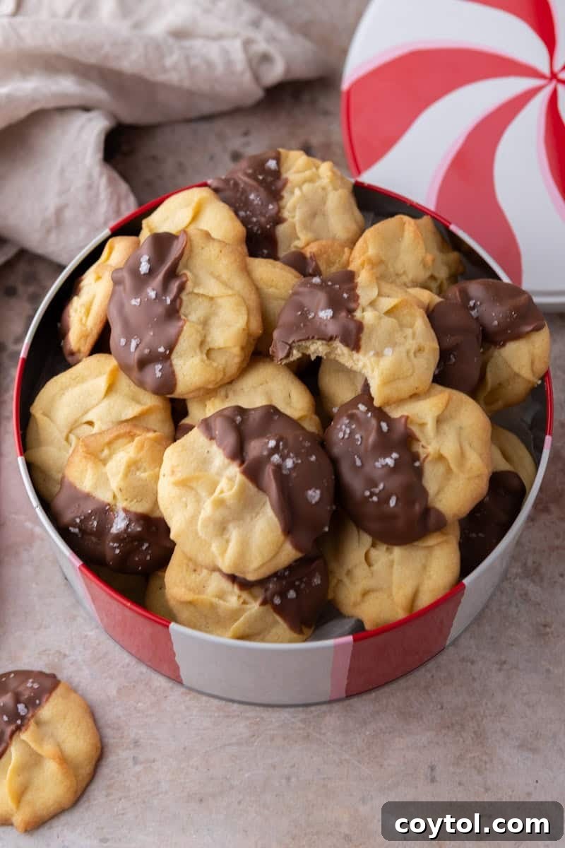A festive holiday tin brimming with an assortment of homemade Danish butter cookies, including some gracefully dipped in chocolate and adorned with flaky salt.