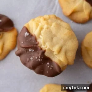 Close-up of a Danish butter cookie partially dipped in chocolate and sprinkled with flaky salt.
