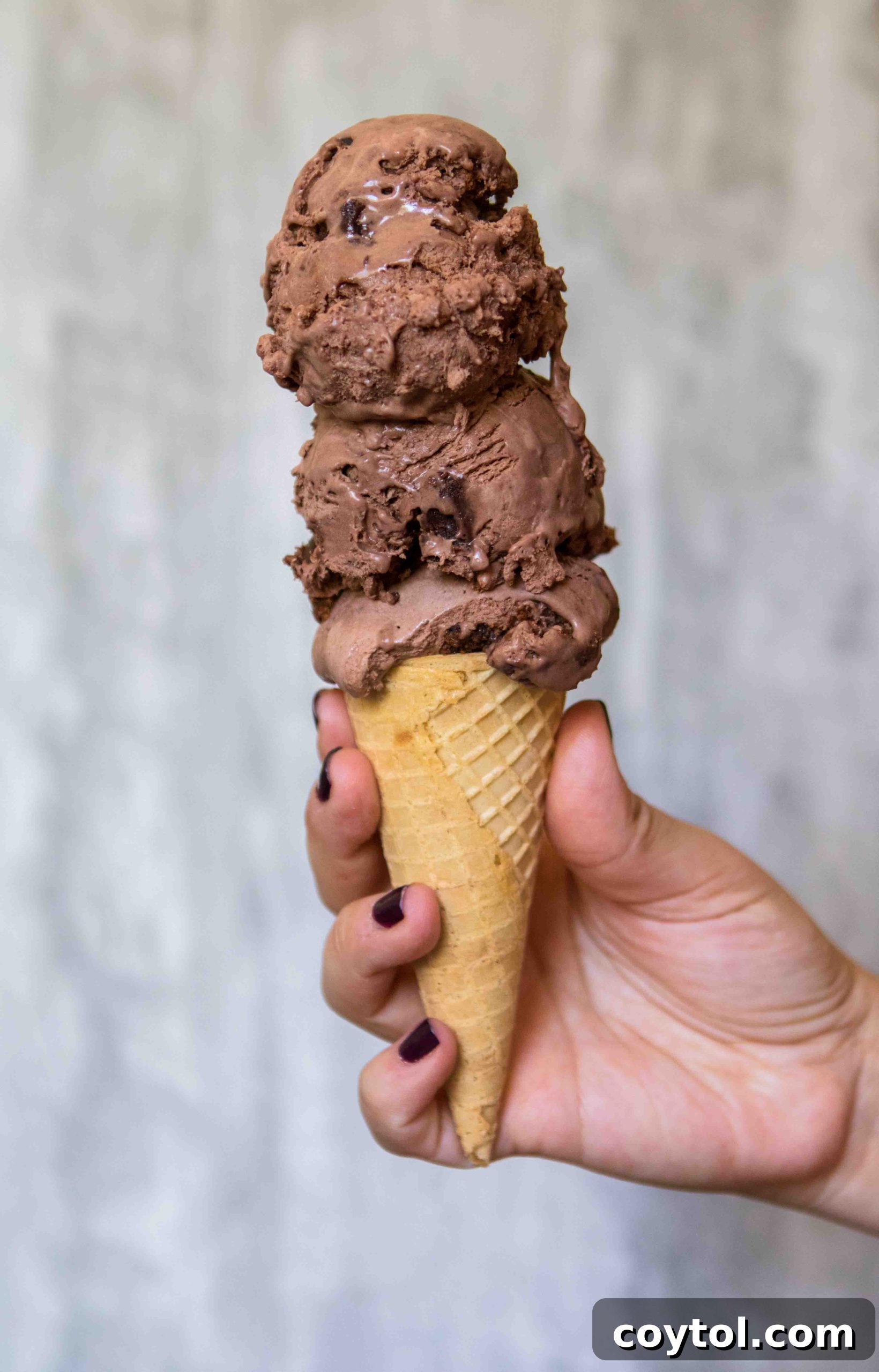 Rich chocolate no-churn ice cream with brownie pieces