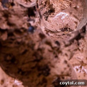 Brownie chocolate no churn ice cream