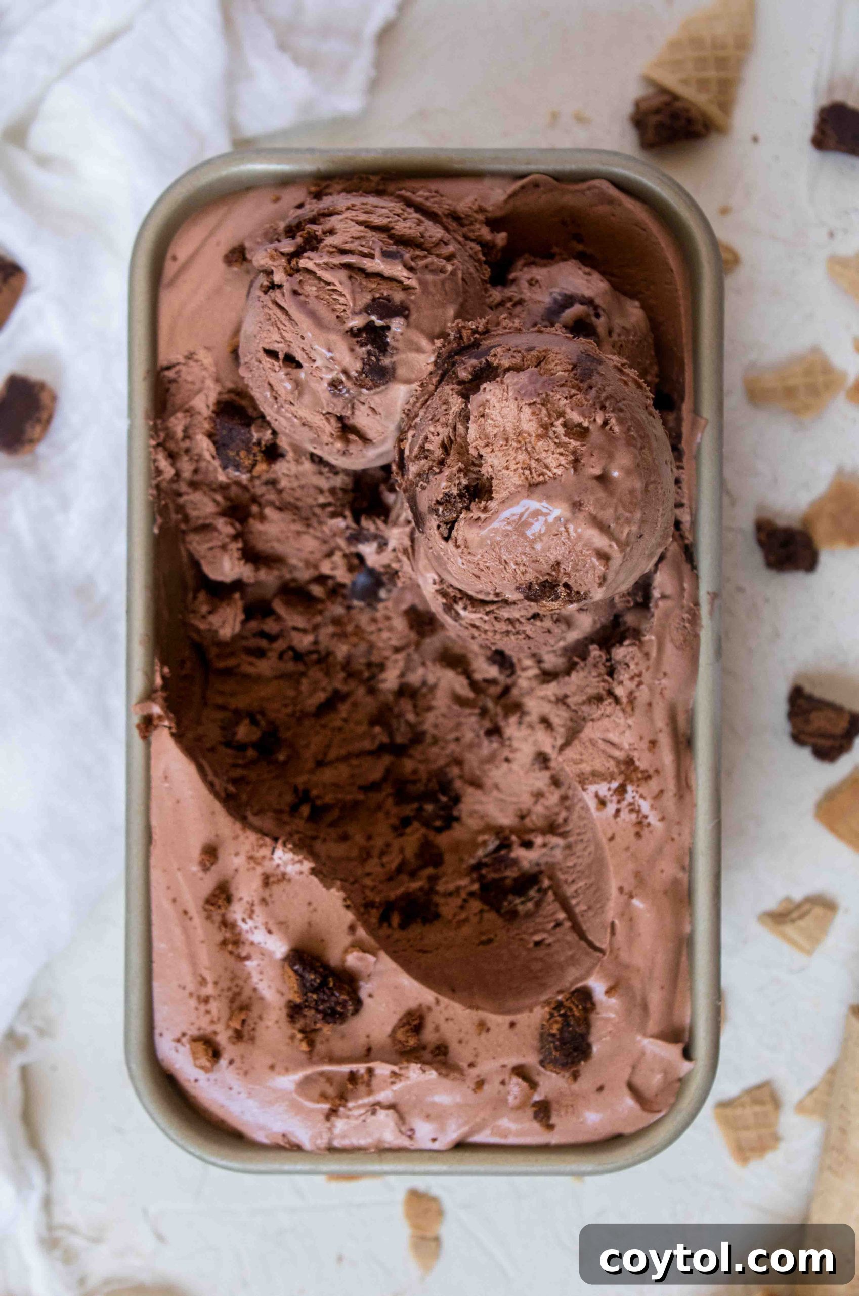 Two scoops of homemade chocolate brownie ice cream